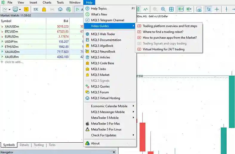 guide exness auto trading bot